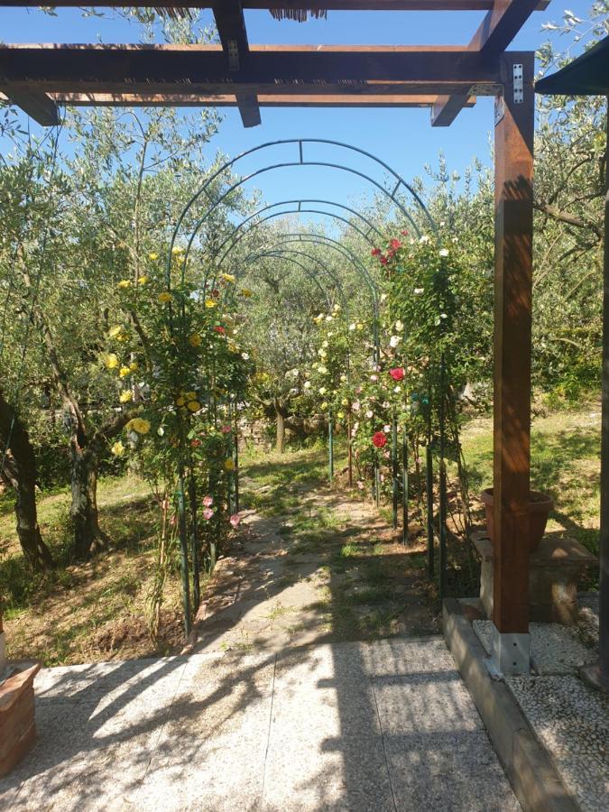 Casa Vacanze L'Oliveta Siena Exterior photo