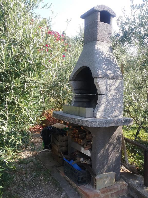 Casa Vacanze L'Oliveta Siena Exterior photo