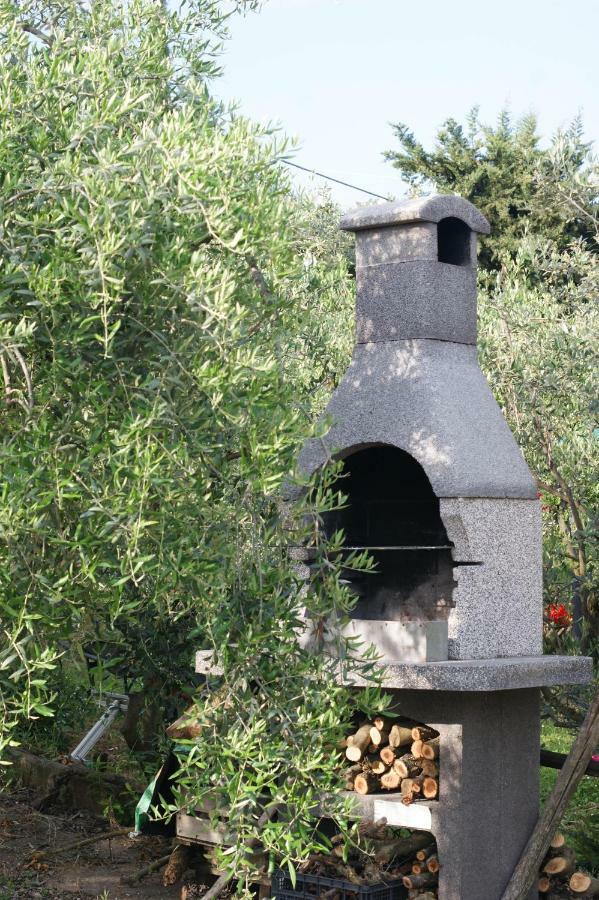 Casa Vacanze L'Oliveta Siena Exterior photo
